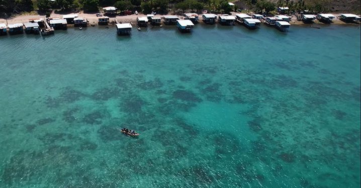 UNEP Luncurkan Nominasi Penghargaan Lingkungan Tertinggi PBB