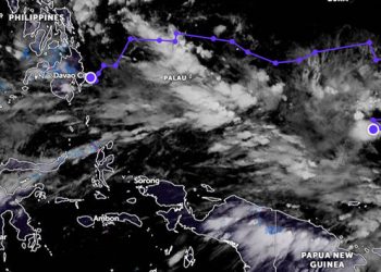 Bibit siklon tropis 94W dan 95W di Samudra Pasifik. GAMBAR: ZOOM EARTH