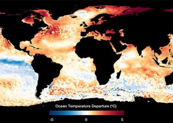 Anomali suhu permukaan laut. GAMBAR: NOAA