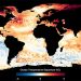 Anomali suhu permukaan laut. GAMBAR: NOAA