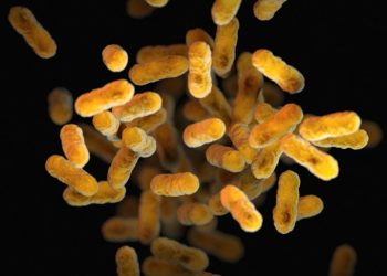 Gambar mikroba yang dihasilkan komputer. FOTO: CDC/UNEP