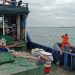 Kapal Sumber Jaya Alam Kandas di Karang Galang Selat Riau