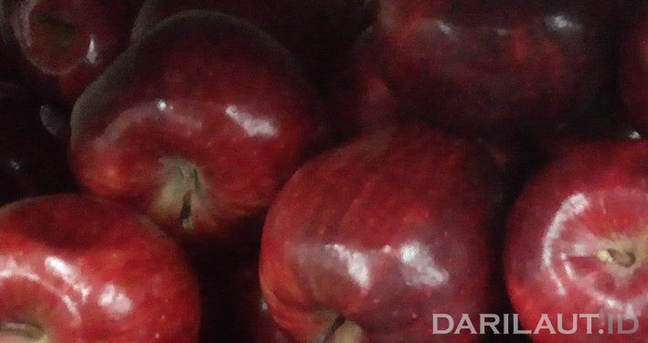 Malnutrisi Faktor Risiko Utama di Kalimantan Utara, Gorontalo dan Papua