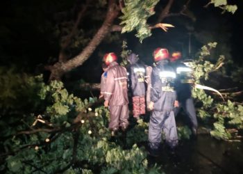 Pepohonan di sejumlah tempat tumbang ketika Badai Siklon (Cyclonic Storm) Sitrang yang membawa hujan lebat dan angin merusak  mendarat di Bangladesh, Senin (24/10) malam hingga Selasa (25/10) pagi. FOTO: THEDAILYSTAR.NET