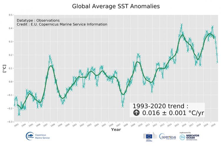 Anomali Suhu Permukaan Laut Global. GAMBAR: Copernicus Marine Service
