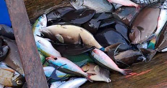 Penangkap Ikan dengan Bom Rakitan Ditangkap di Banggai Laut