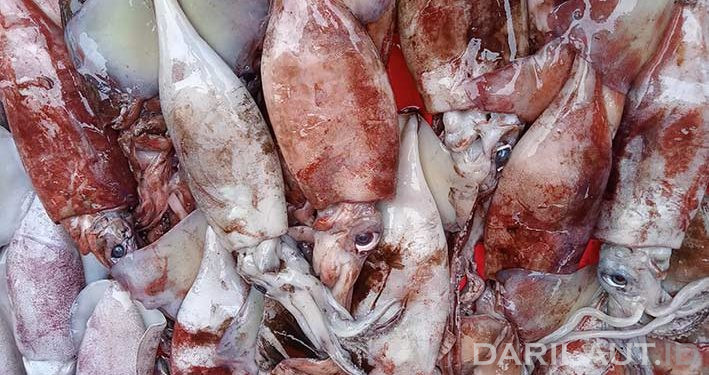 Gorontalo Menggelar Festival Sejuta Cumi