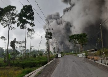 Status gunung api Semeru di Jawa Timur meningkat dari level III (Siaga) menjadi level IV (Awas) setelah adanya peningkatan aktivitas vulkanik pada Minggu (4/12). FOTO: BPBD Kabupaten Lumajang/BNPB