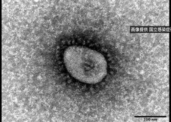 Virus Corona. GAMBAR: NHK