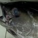 Mata Ikan Tuna Mengandung Omega-3