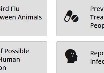 Seperti Apa Kasus Flu Burung di Kamboja
