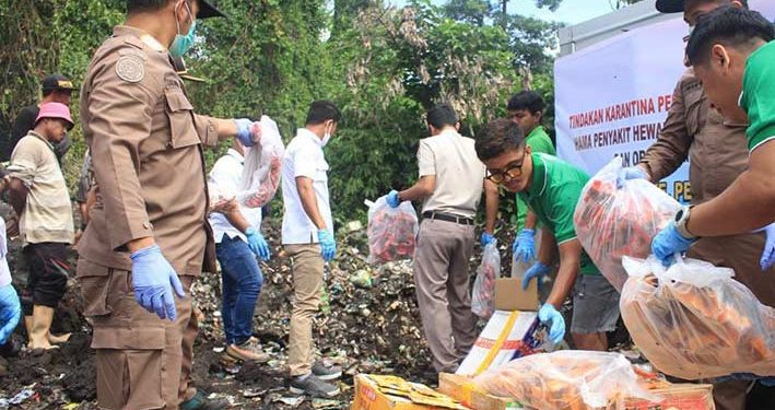 Tidak Memiliki Izin Edar, 60 Kg Ikan Olahan Dimusnahkan di Ternate