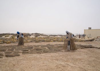 Mengembalikan Stok Ikan di Abu Dhabi