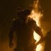 Kisah Zombie di Film The Last of Us Sudah Terjadi pada Serangga
