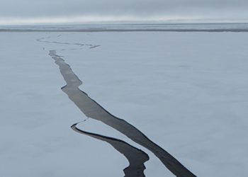 Apa Itu Kriosfer, Penyebab Kenaikan Permukaan Laut