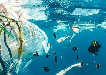 Memangkas Polusi Plastik, Ini ‘Peta jalan’ PBB