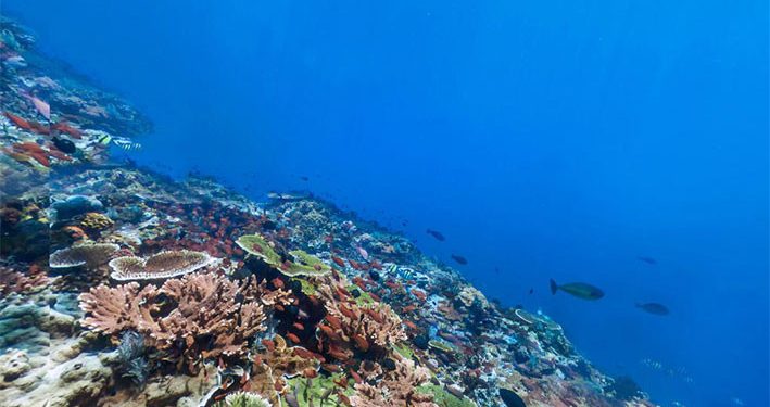 World Oceans Day, Lautan Sumber Kehidupan