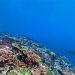 World Oceans Day, Lautan Sumber Kehidupan