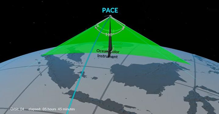 NASA Akan Mengamati dan Mengidentifikasi Spesies Fitoplankton dari Luar Angkasa