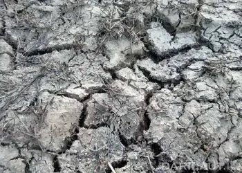 Bencana Kekeringan Berdampak pada 7.500 Jiwa di Kabupaten Puncak, 6 Warga Tewas