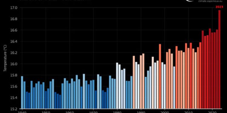 WMO: Juli 2023 Rekor Terpanas Selama 120 Ribu Tahun