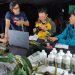 Peneliti Temukan Potensi 16 Spesies Baru di Kalimantan Tengah