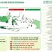 El Nino Berdampak pada Produksi Padi Indonesia