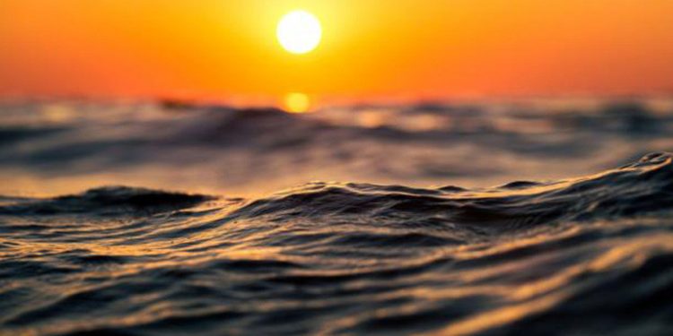 Melacak Gelombang Panas Laut Penyebab Pergeseran Lokasi Ikan