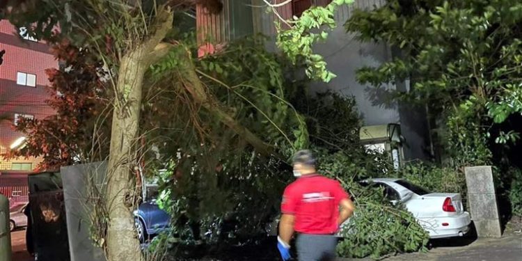 Topan Koinu Menyebabkan 190 Orang Terluka dan 174 Ribu Rumah Tanpa Listrik di Taiwan