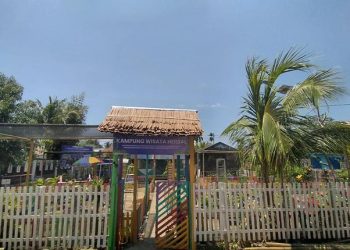 Mahasiswa Farmasi UNG Kembangkan Tanaman Obat Keluarga