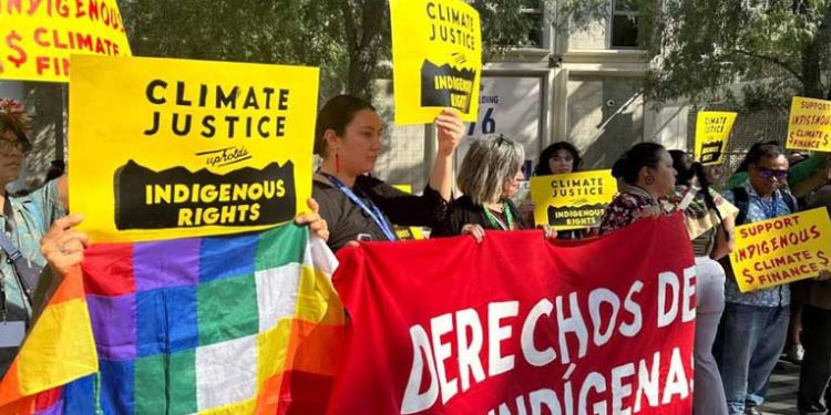 COP28, Aktivis Khawatir Dana Adaptasi iklim dan Konservasi Salah Sasaran