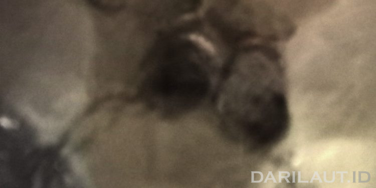 COP28, Lebih 60 Negara Menandatangani Ikrar Mengurangi Dampak Iklim Dari Sektor Pendingin