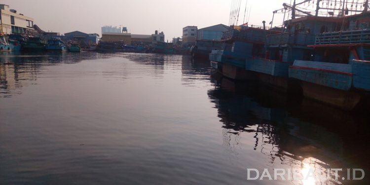Air Laut Teluk Jakarta Mengandung 21.260 Ton Nitrogen