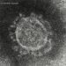 Kasus Virus Corona Terus Meningkat di Seluruh Jepang