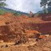 KLHK Mengamankan 4 Unit Ekskavator di Tambang Emas Tolitoli