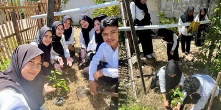 Kelompok Penyelenggara Pemungutan Suara Menanam 5,7 Juta Bibit Pohon