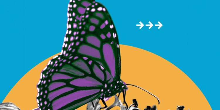 Keanekaragaman Spesies Menurun Lebih Cepat