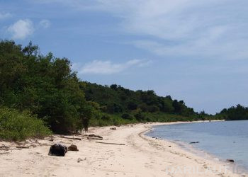 Fakultas Kelautan UNG Perlu Memaksimalkan Laboratorium Alam