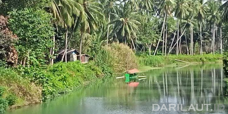 WMO: Perempuan Paling Terkena dampak Perubahan Iklim dan Cuaca