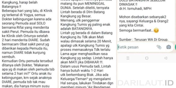 Hoaks Kangkung yang Mematikan
