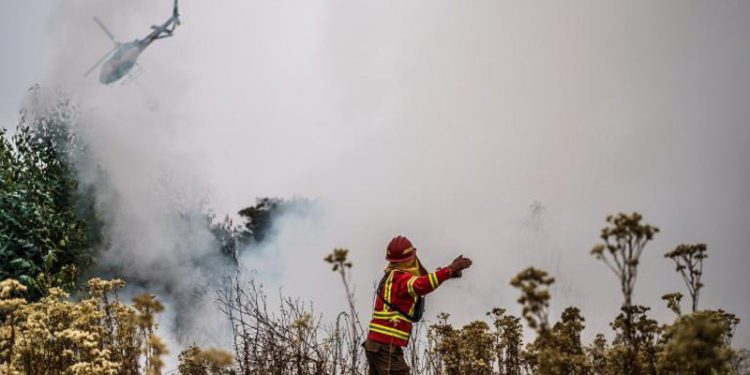 El Nino Memicu Gelombang Panas dan Kebakaran Hutan, Lebih Dari 100 Orang Tewas di Chili