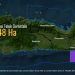 Ada Kawasan Konservasi di Teluk Gorontalo untuk Melindungi Hiu Paus dan Salvador Dali