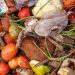 1 Miliar Ton Makanan Terbuang Sia-sia
