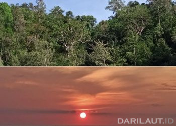 Sains Ilmu Kelautan dan Ilmu Lingkungan Prodi Baru di UNG