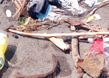 Merusak Ekosistem, Ini Delapan Cara Mengatasi Krisis Pencemaran Sampah dan Limbah