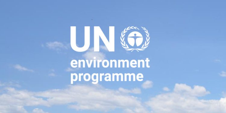 UNEP Buka Pendaftaran Champions of the Earth 2024, Penghargaan Lingkungan Hidup Tertinggi PBB