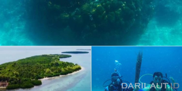 Ini Karang Raksasa Boalemo Penyimpan Data Masa Lampau dan Pendeteksi Perubahan Iklim