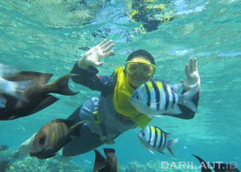 Ingin Wisata Elok di Laut Olele, Ini Pesan Mahasiswa Pertukaran