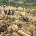 Tanah Longsor Mengubur 2.000 Orang di Papua Nugini