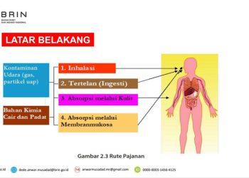 Provinsi Gorontalo Lima Besar Penyakit Akibat Polusi Udara Seperti Stroke dan Jantung Iskemik